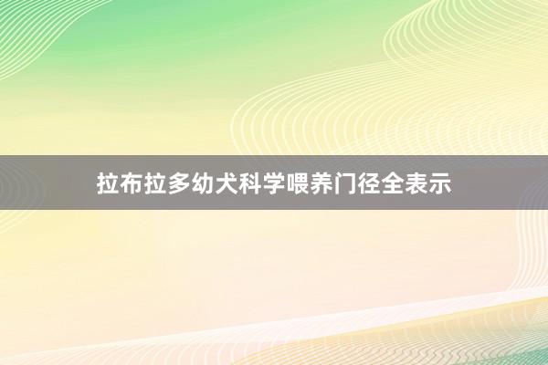 拉布拉多幼犬科学喂养门径全表示